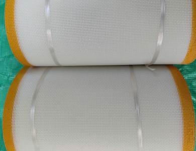 băng tải nhựa modular belt 1